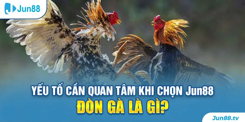 Yếu tố cần quan tâm khi chọn Jun88 - Đòn gà là gì?
