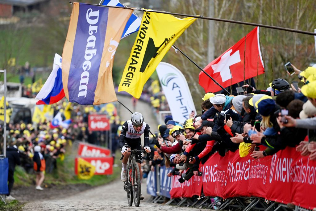 cá cược đua xe đạp Tour of Flanders
