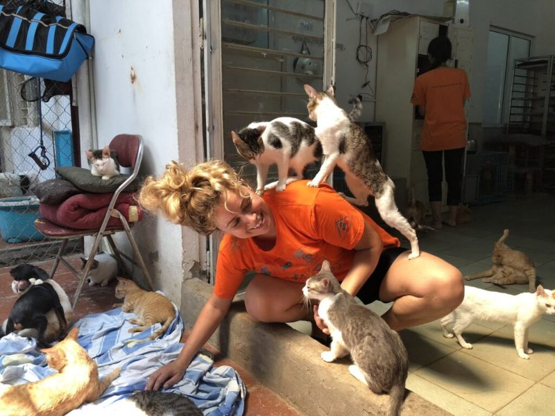 Chiêm bao tự mở trạm cứu hộ mèo hoang